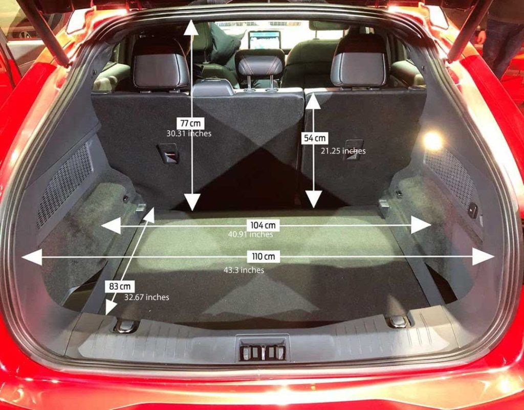 Ford Mustang Mach E Cargo 1